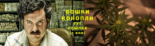 МДПВ Кострома
