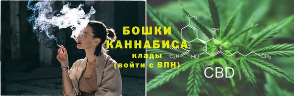 молекула духа Володарск