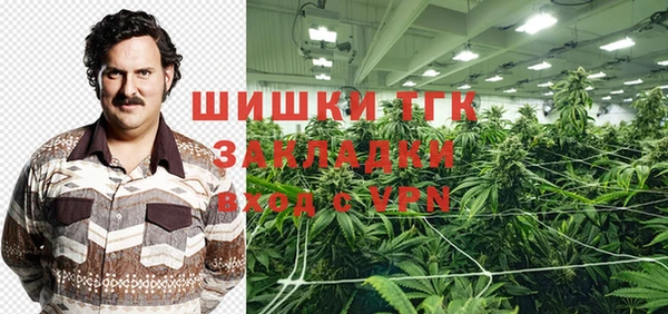 ПСИЛОЦИБИНОВЫЕ ГРИБЫ Горняк