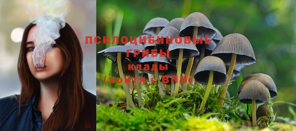 ПСИЛОЦИБИНОВЫЕ ГРИБЫ Горняк