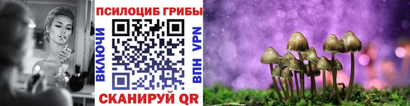 купить наркотики цена  Ивдель  Галлюциногенные грибы мицелий 